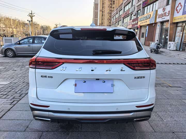 Haval H6 2025 2025款 1.5T 国潮都市版