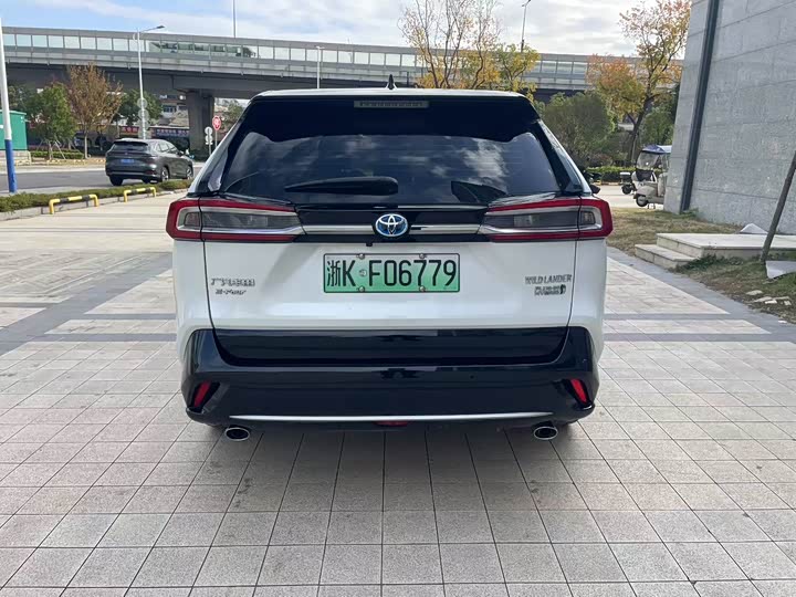 Toyota Wildlander Hybrid 2021 2021款 高性能版 2.5L 四驱劲擎版