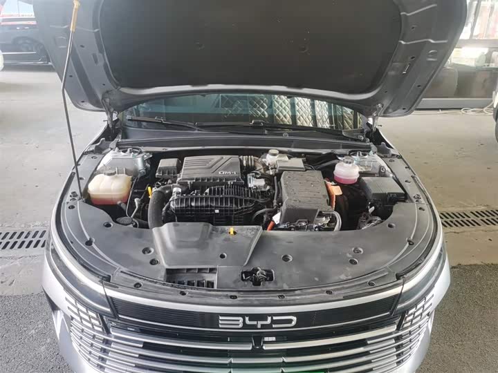 BYD Destroyer 05 2024 2024款 荣耀版 DM-i 55KM 豪华型