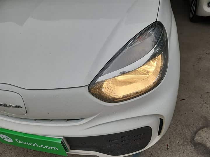 Roewe Clever 2022 2022款 311km元气啵啵版