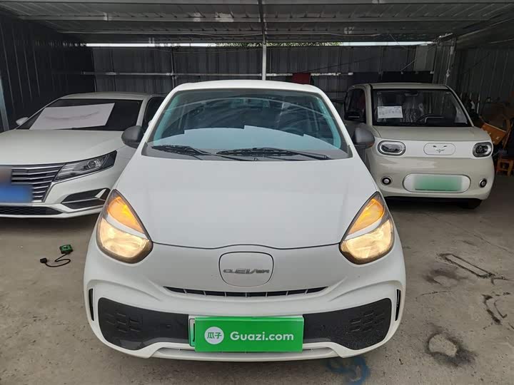 Roewe Clever 2022 2022款 311km元气啵啵版