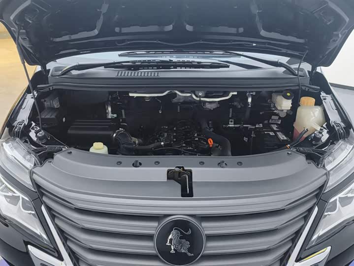 Dongfeng Forthing Lingzhi M5 2023 2023款 M5L 1.6L 舒适型 7座