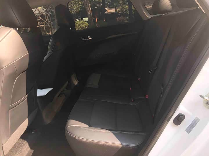 Changan Eado EV 2022 2022款 EV460 智行网约版 磷酸铁锂