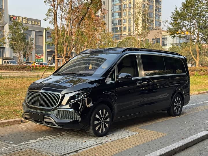 Mercedes-Benz Vito 2024 2024款 2.0T 商务版 7座