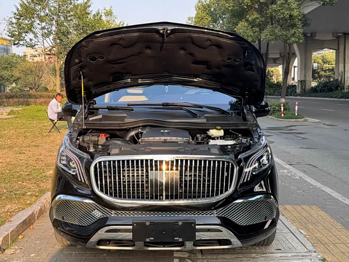 Mercedes-Benz Vito 2024 2024款 2.0T 商务版 7座