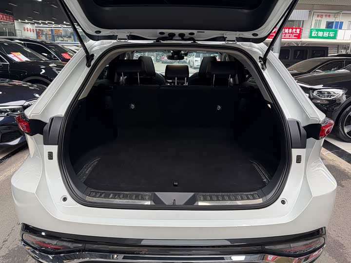 Toyota Venza 2024 2024款 2.0L CVT两驱豪华版