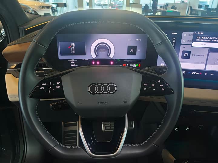 Audi Q6L e-tron 2026 2026款 首发领航版