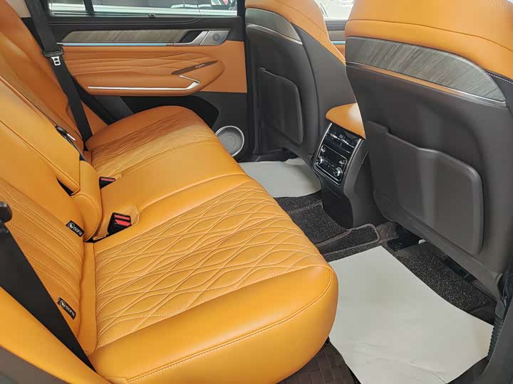 Tank 500 Hybrid 2025 2025款 Hi4-Z