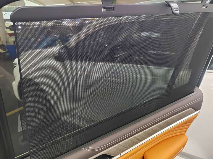 Tank 500 Hybrid 2025 2025款 Hi4-Z