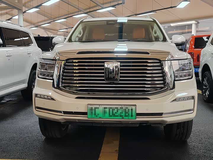 Tank 500 Hybrid 2025 2025款 Hi4-Z