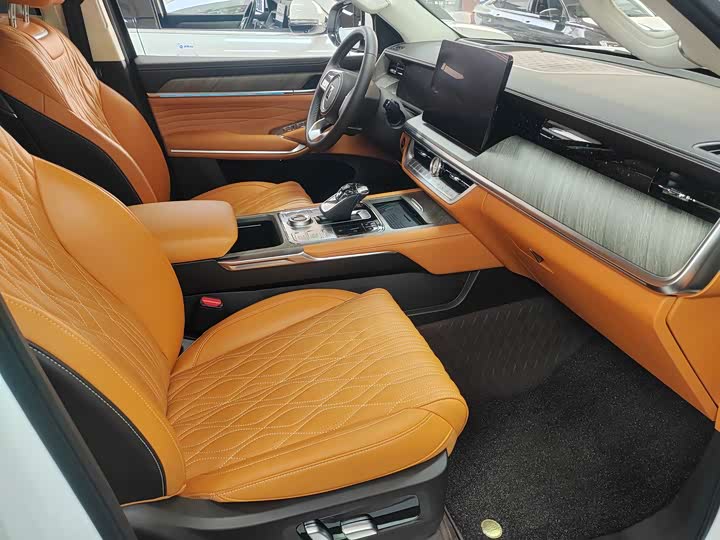 Tank 500 Hybrid 2025 2025款 Hi4-Z