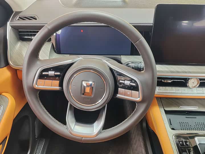 Tank 500 Hybrid 2025 2025款 Hi4-Z