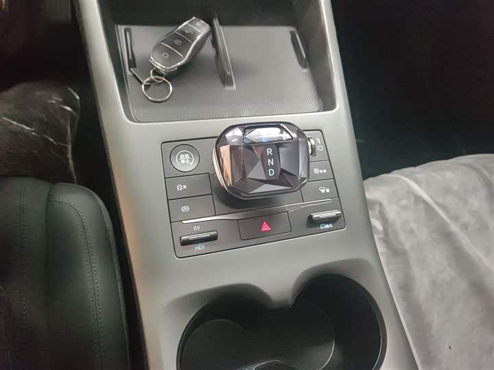 BYD Qin Plus 2025 2025款 DM-i 智驾版 55KM领先型