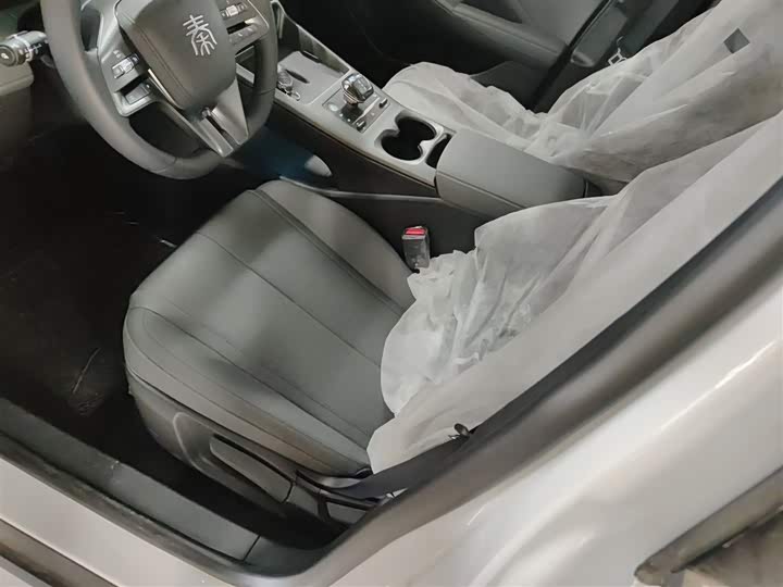 BYD Qin Plus 2025 2025款 DM-i 智驾版 55KM领先型