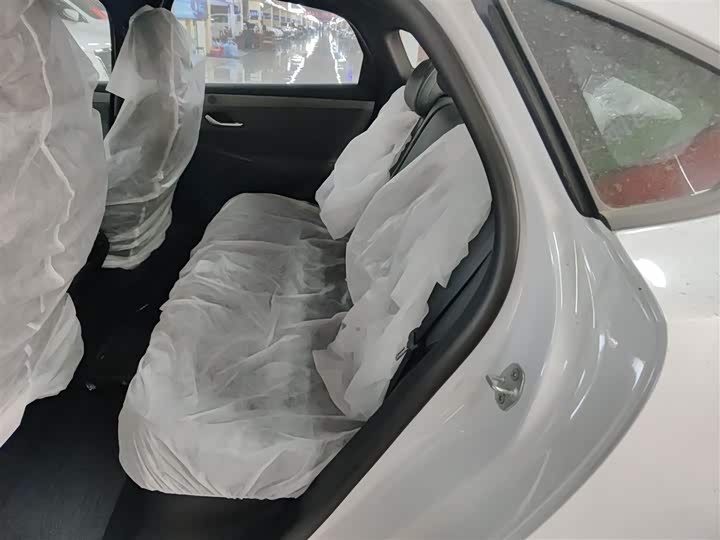 BYD Qin Plus 2025 2025款 DM-i 智驾版 55KM领先型