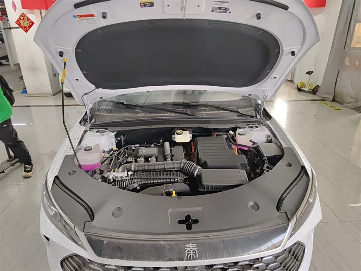 BYD Qin Plus 2025 2025款 DM-i 智驾版 55KM领先型