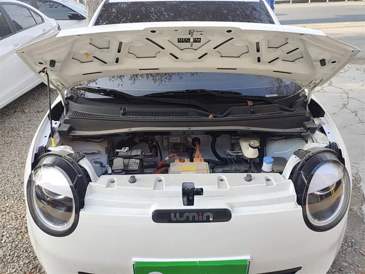 Changan Qiyuan (Nevo) Lumin 2025 2025款 205km 清香款