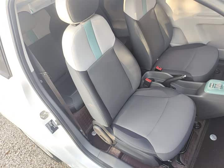 Changan Qiyuan (Nevo) Lumin 2025 2025款 205km 清香款