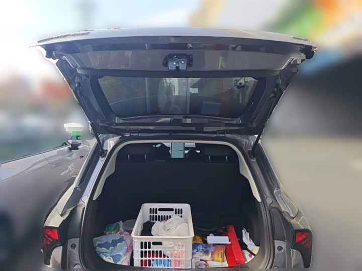 Hozon V 2022 2022款 潮 300 Lite 磷酸铁锂