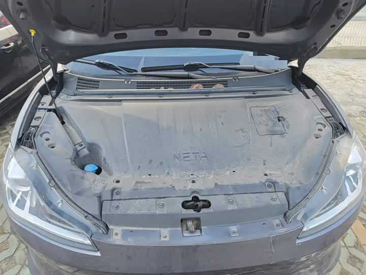 Hozon V 2022 2022款 潮 300 Lite 磷酸铁锂