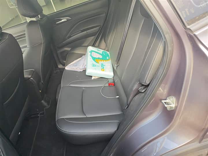 Hozon V 2022 2022款 潮 300 Lite 磷酸铁锂