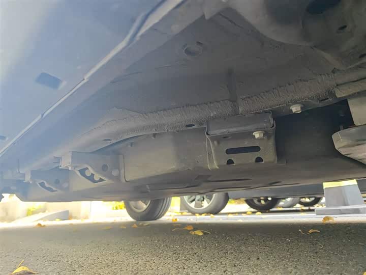 Hozon V 2022 2022款 潮 300 Lite 磷酸铁锂