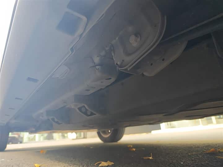 Hozon V 2022 2022款 潮 300 Lite 磷酸铁锂