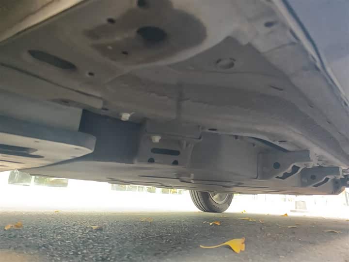 Hozon V 2022 2022款 潮 300 Lite 磷酸铁锂