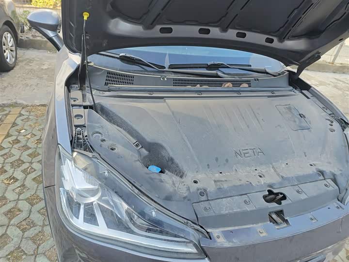 Hozon V 2022 2022款 潮 300 Lite 磷酸铁锂