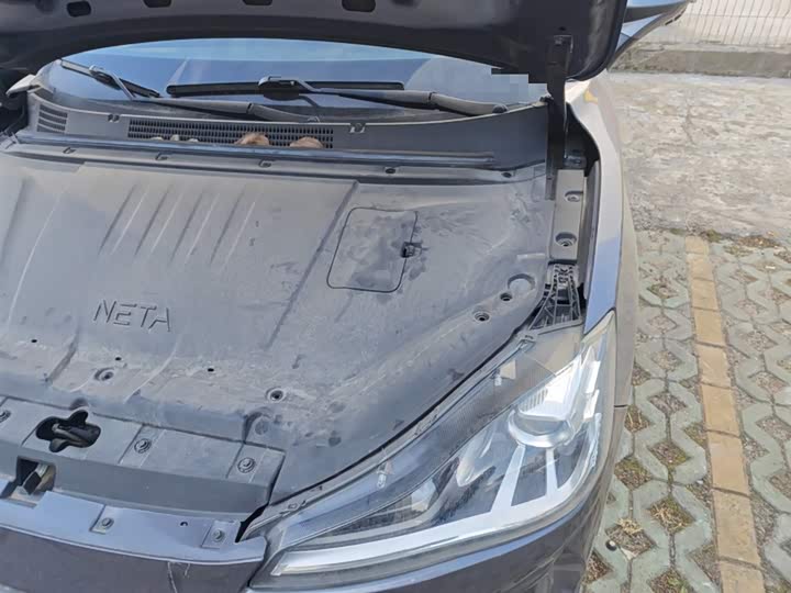 Hozon V 2022 2022款 潮 300 Lite 磷酸铁锂