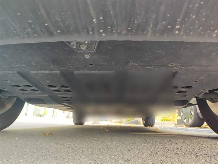 Hozon V 2022 2022款 潮 300 Lite 磷酸铁锂