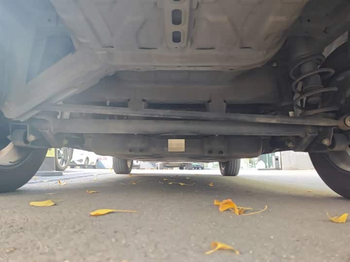 Hozon V 2022 2022款 潮 300 Lite 磷酸铁锂