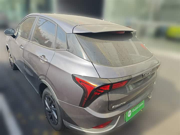 Hozon V 2022 2022款 潮 300 Lite 磷酸铁锂