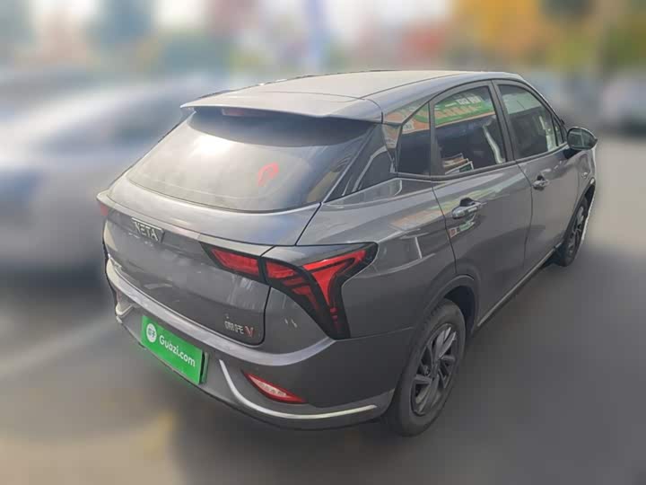 Hozon V 2022 2022款 潮 300 Lite 磷酸铁锂