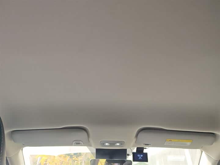 Hozon V 2022 2022款 潮 300 Lite 磷酸铁锂