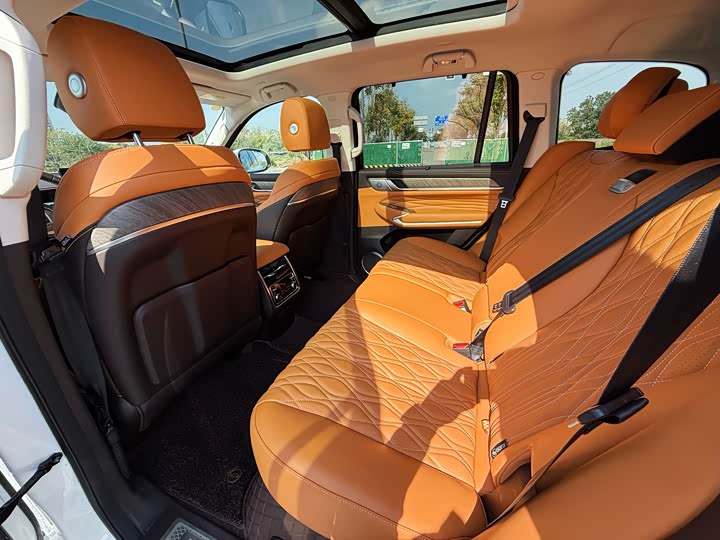 Tank 500 Hybrid 2025 2025款 Hi4-Z