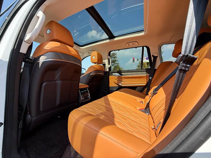 Tank 500 Hybrid 2025 2025款 Hi4-Z