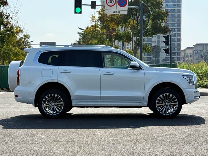 Tank 500 Hybrid 2025 2025款 Hi4-Z