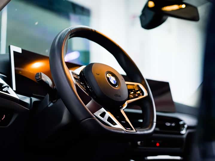 BMW 3 Series 2025 2025款 325Li M运动套装