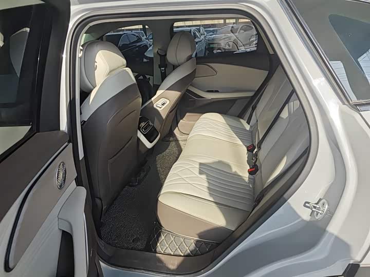 Exeed RX C-DM Hybrid 2024 2024款 1.5T 长续航Pro