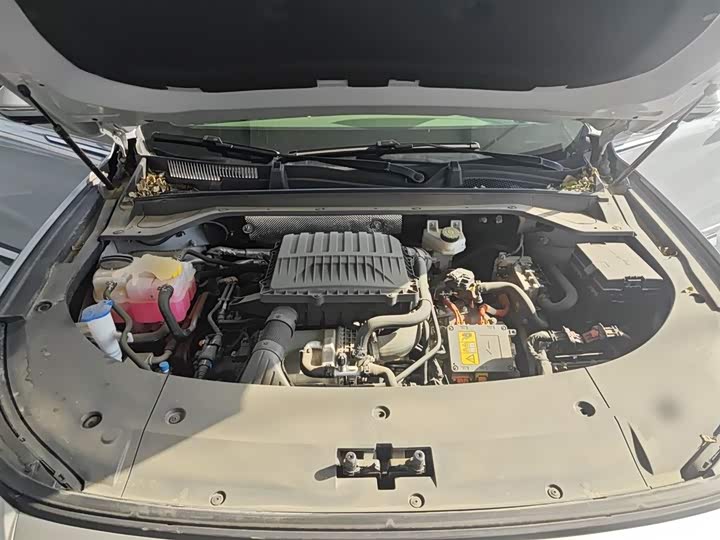 Exeed RX C-DM Hybrid 2024 2024款 1.5T 长续航Pro