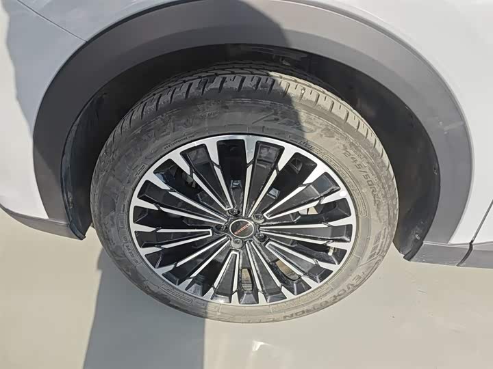 Exeed RX C-DM Hybrid 2024 2024款 1.5T 长续航Pro