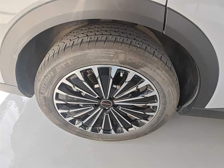 Exeed RX C-DM Hybrid 2024 2024款 1.5T 长续航Pro