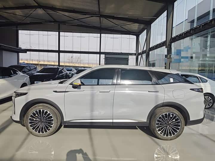 Exeed RX C-DM Hybrid 2024 2024款 1.5T 长续航Pro