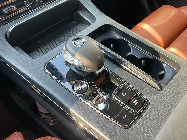 GAC Trumpchi E9 2024 2024款 E9 冠军版