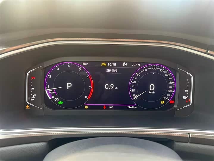 Volkswagen T-Roc 2023 2023款 300TSI DSG两驱星光版