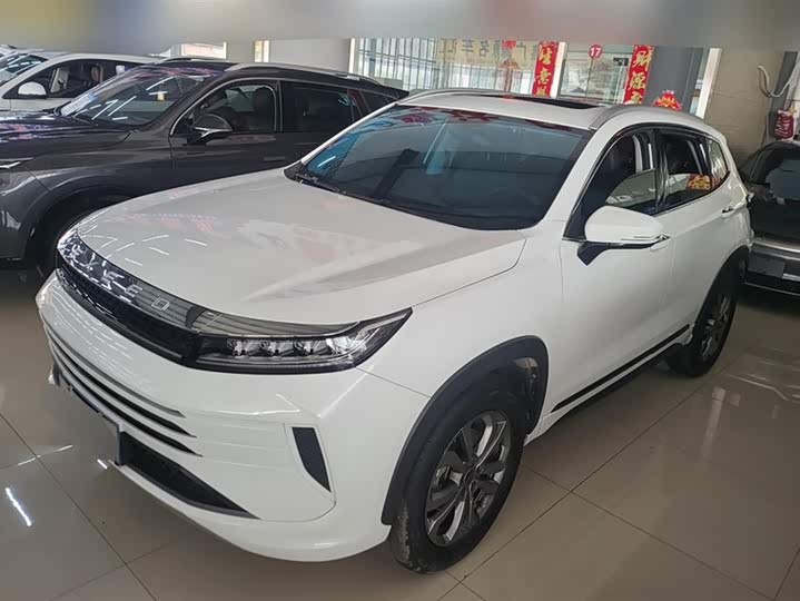 Exeed LX 2024 2024款 1.5T CVT好事花生版