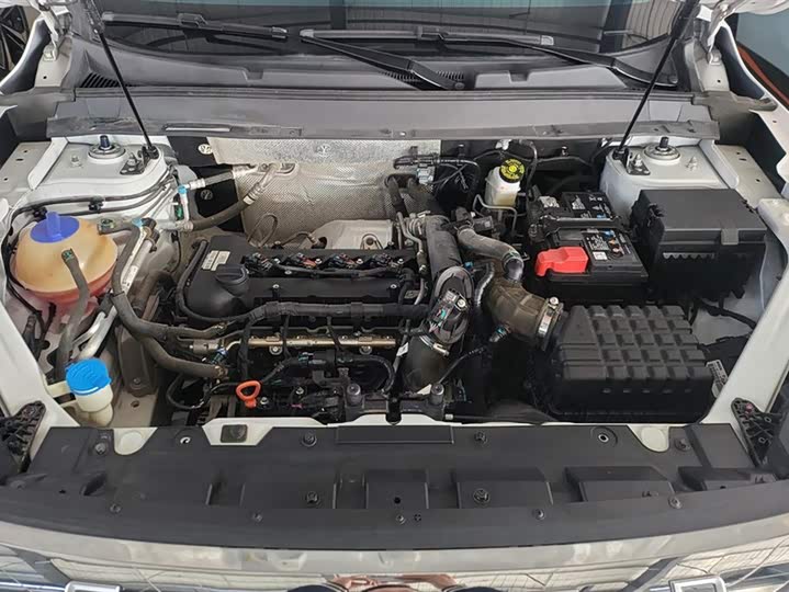 Exeed LX 2024 2024款 1.5T CVT好事花生版