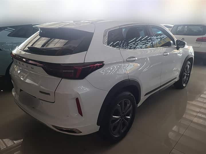 Exeed LX 2024 2024款 1.5T CVT好事花生版