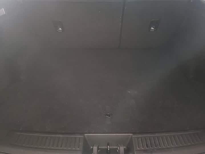 Exeed LX 2024 2024款 1.5T CVT好事花生版